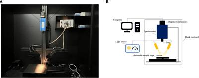 Hyperspectal imaging technology for phenotyping iron and boron deficiency in Brassica napus under greenhouse conditions